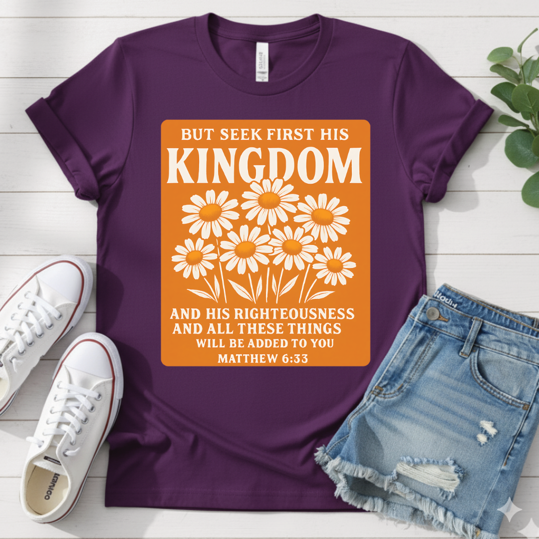 MATTHEW 6:33 T-SHIRT