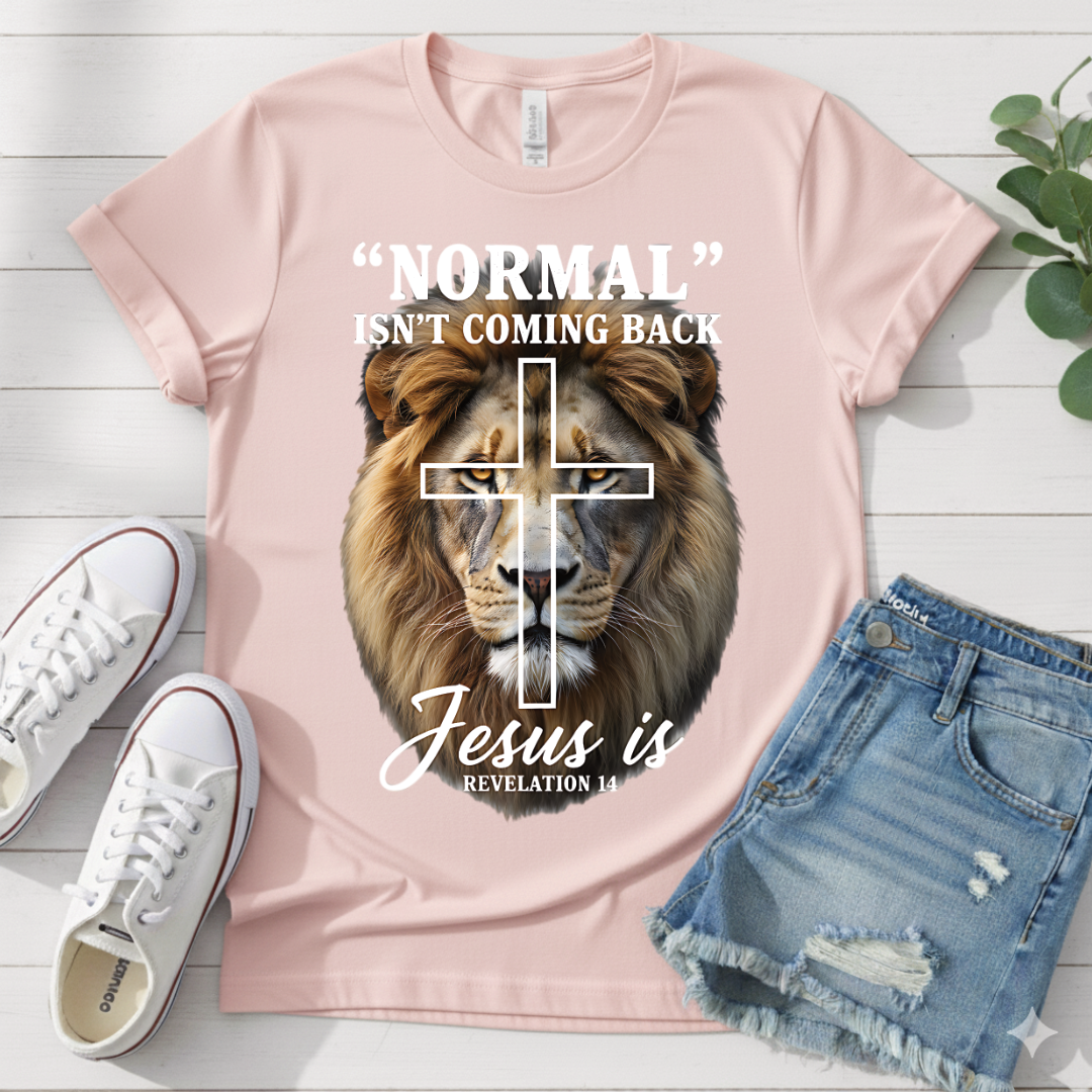 REVELATION 14 T-SHIRT