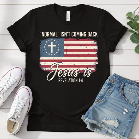 REVELATION 1:4 T-SHIRT