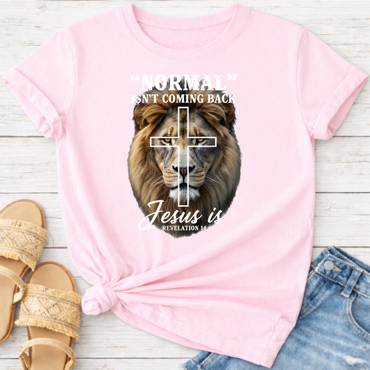 REVELATION 14 T-SHIRT