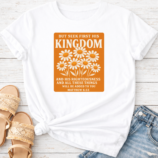 MATTHEW 6:33 T-SHIRT