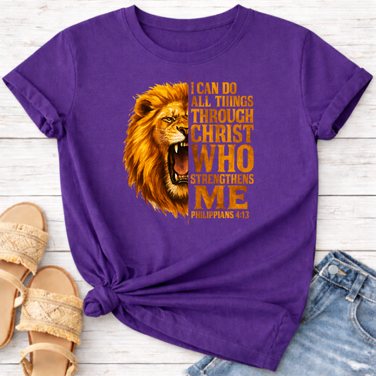 PHILIPPIANS 4:13 T-SHIRT