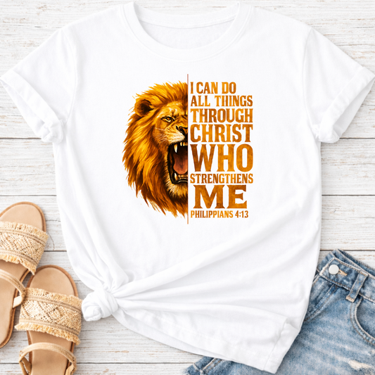 PHILIPPIANS 4:13 T-SHIRT