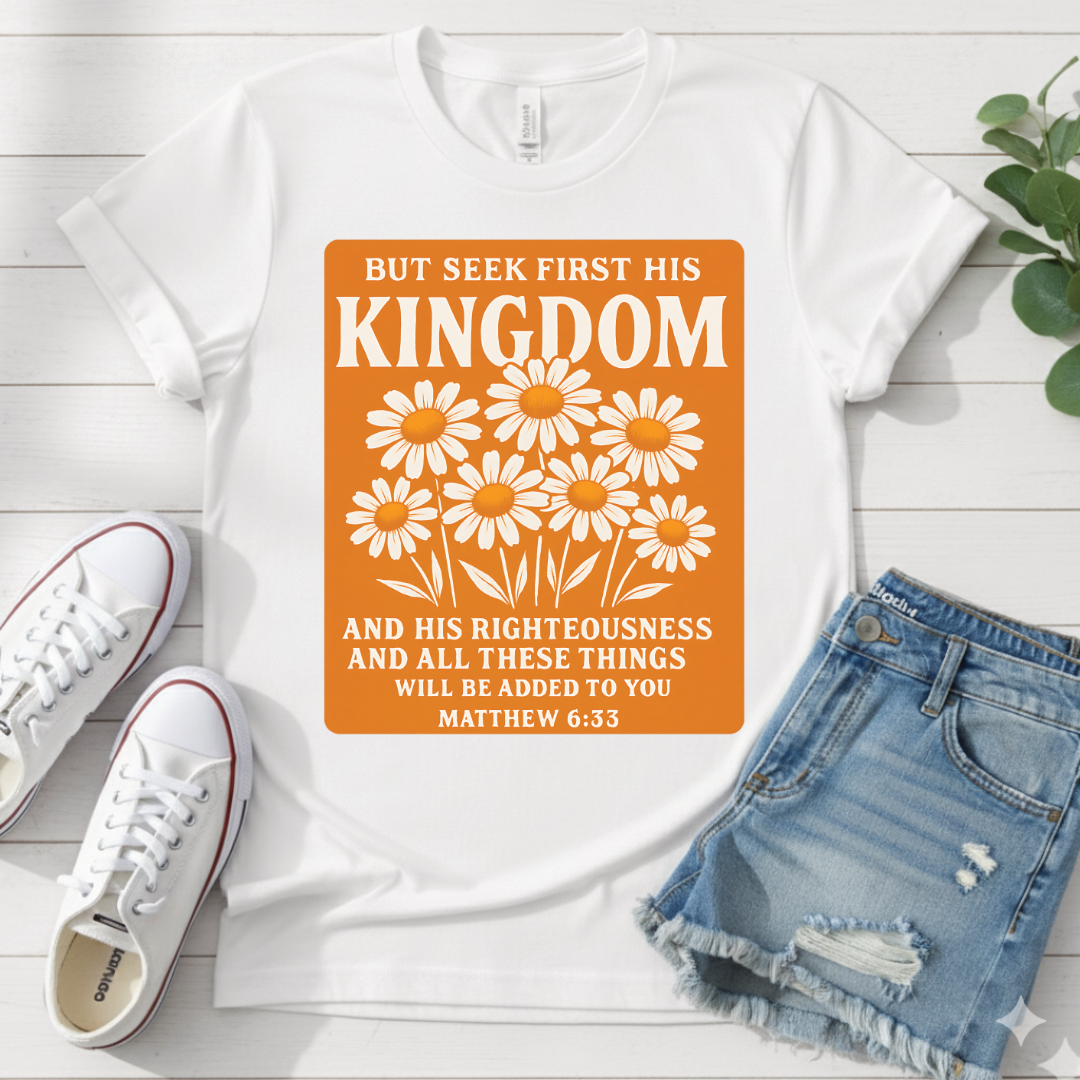 MATTHEW 6:33 T-SHIRT