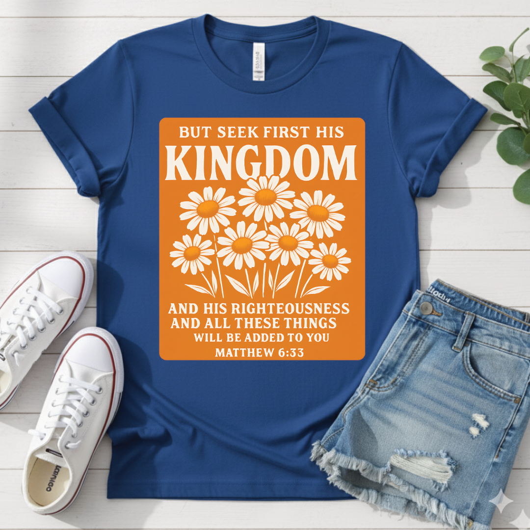 MATTHEW 6:33 T-SHIRT