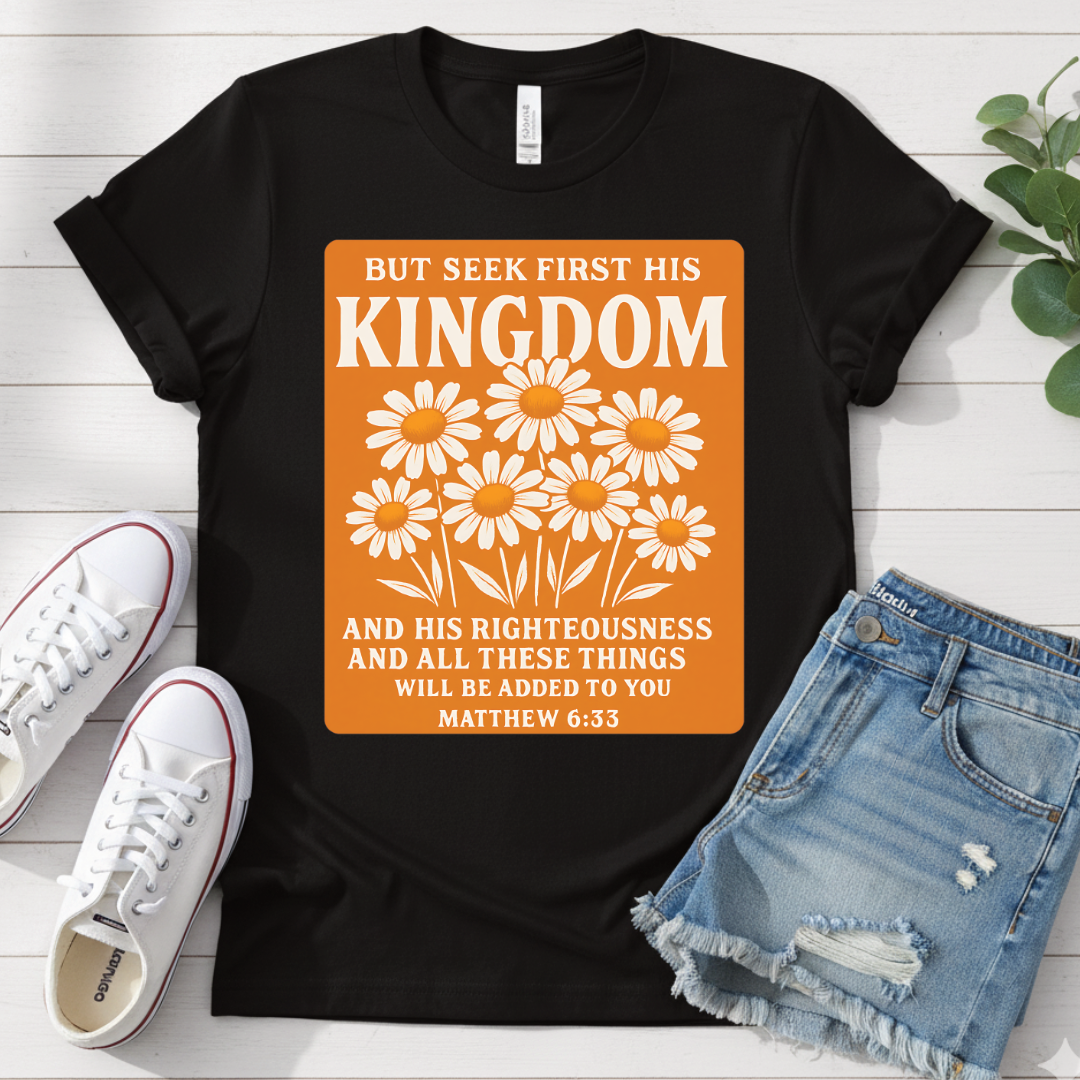 MATTHEW 6:33 T-SHIRT