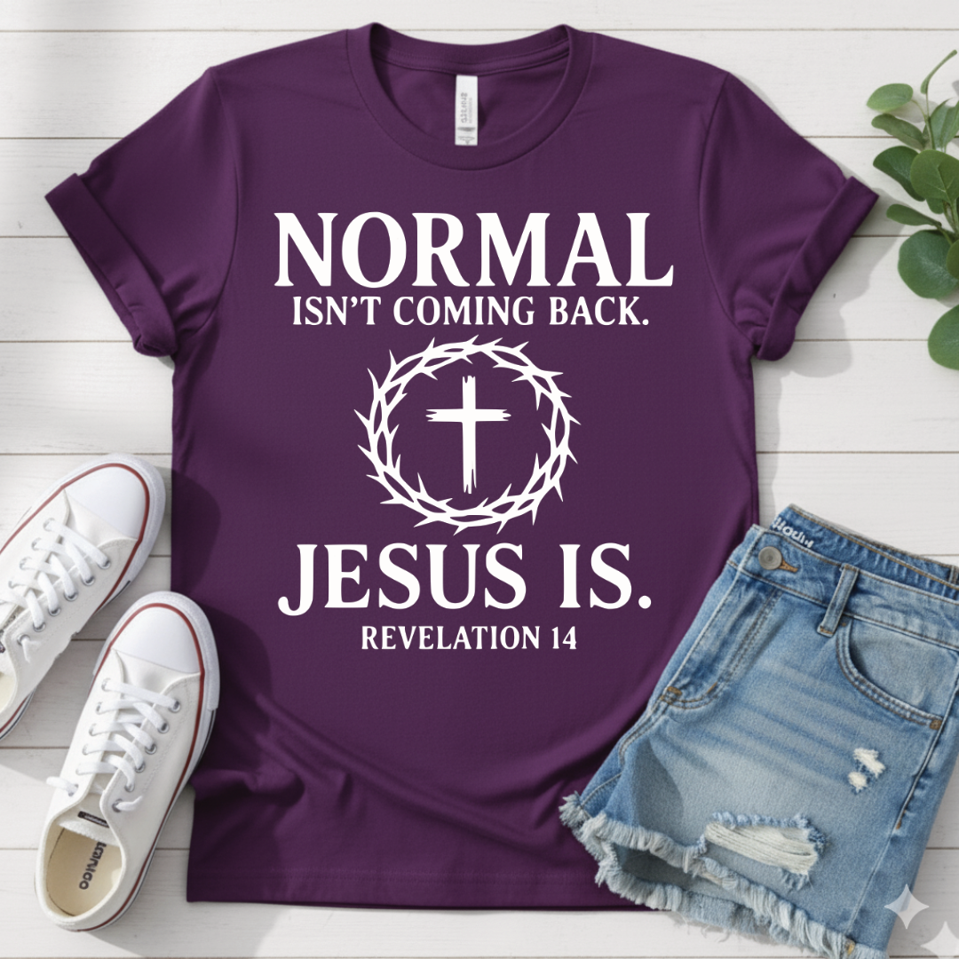 REVELATION 14 T-SHIRT