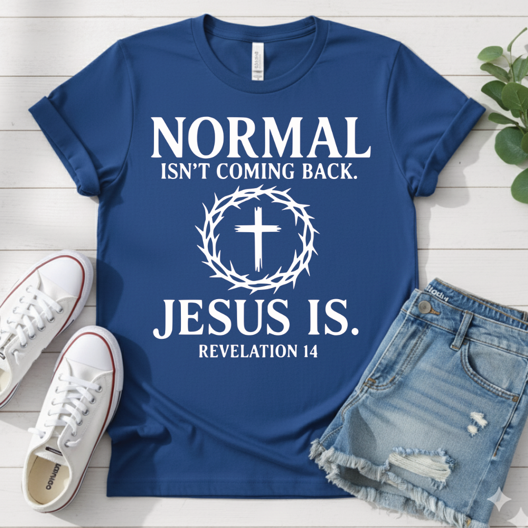 REVELATION 14 T-SHIRT