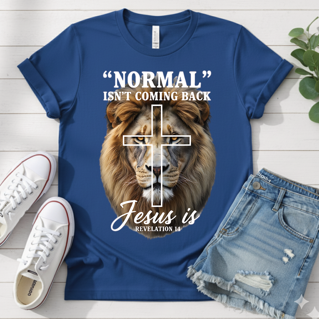 REVELATION 14 T-SHIRT