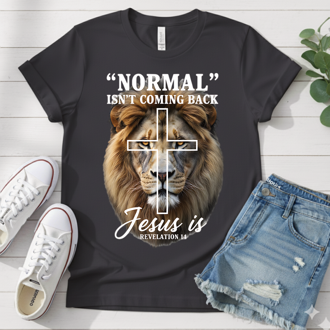 REVELATION 14 T-SHIRT