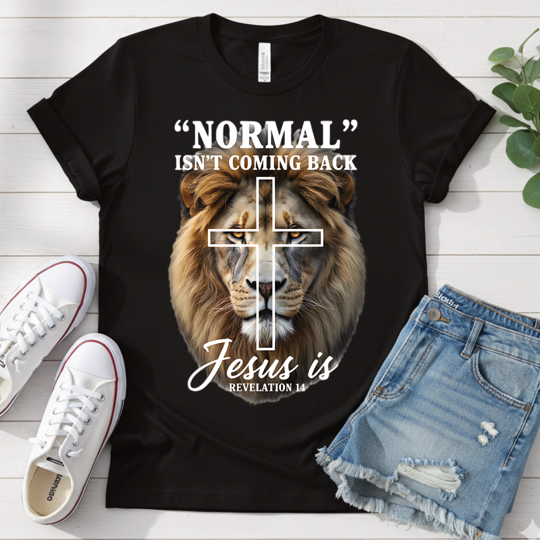 REVELATION 14 T-SHIRT