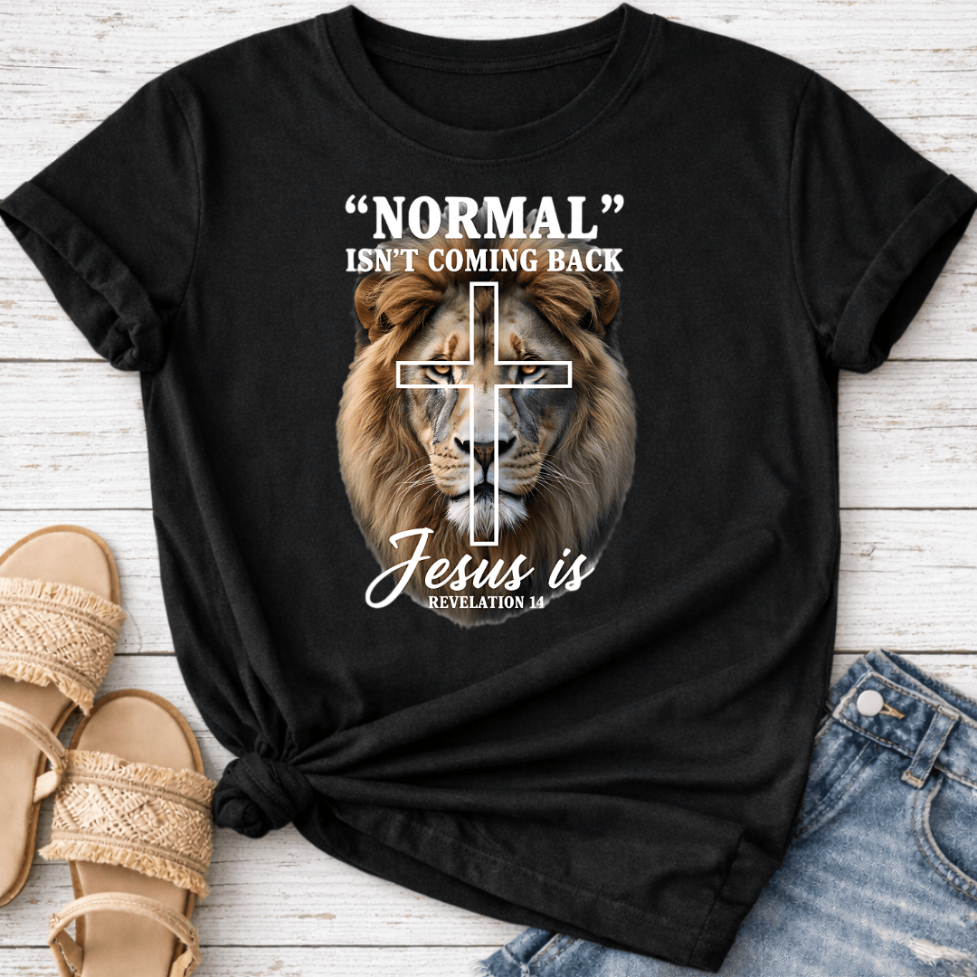 REVELATION 14 T-SHIRT