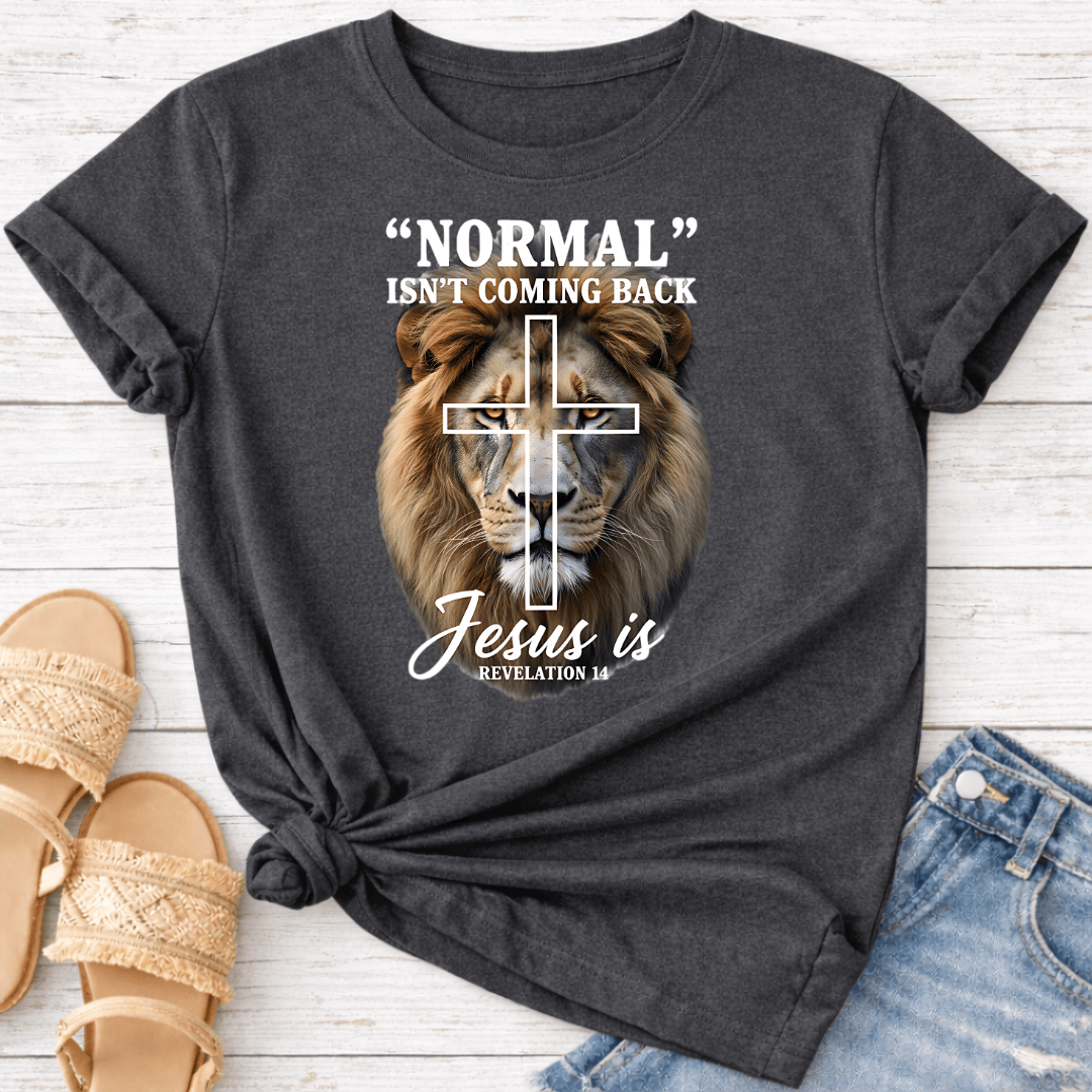 REVELATION 14 T-SHIRT