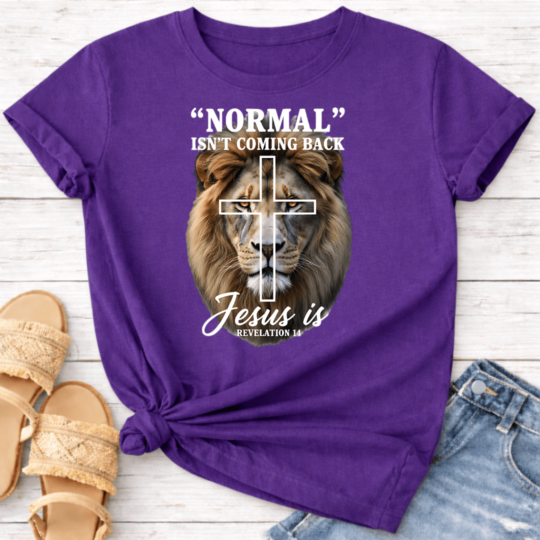 REVELATION 14 T-SHIRT