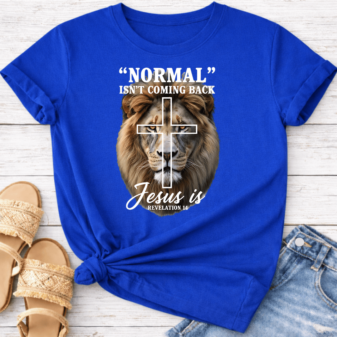 REVELATION 14 T-SHIRT